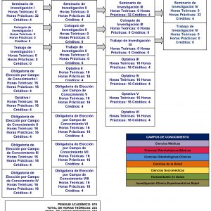 Mapa_Curricular_maestria